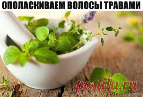 ОПОЛАСКИВАЕМ ВОЛОСЫ ТРАВАМИ.
РОМАШКА - легкое осветление и укрепление
КРАПИВА - укрепление
АИР - против выпадения и для укрепления
ШИШКИ ХМЕЛЯ - устранение перхоти, укрепление волос
ЛИПА - восстанавливает эластичность волос, блеск и упругость
БЕРЕЗА - мягкость и улучшение роста волос
КОРЕНЬ ЛОПУХА - укрепляет корни волос, усиливает их рост
СЕМЕНА ЛЬНА - блеск, предотвращение сечения
ХВОЩ ПОЛЕВОЙ - уменьшаЕт выпадение и ломкость волос, стимулирует рост
ШАЛФЕЙ - блеск, устранение выпадения
КОРА ДУ