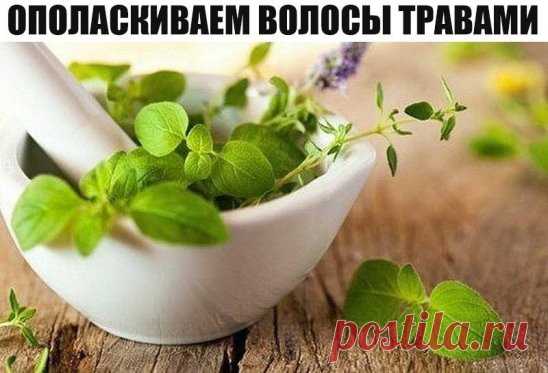ОПОЛАСКИВАЕМ ВОЛОСЫ ТРАВАМИ.
РОМАШКА - легкое осветление и укрепление
КРАПИВА - укрепление
АИР - против выпадения и для укрепления
ШИШКИ ХМЕЛЯ - устранение перхоти, укрепление волос
ЛИПА - восстанавливает эластичность волос, блеск и упругость
БЕРЕЗА - мягкость и улучшение роста волос
КОРЕНЬ ЛОПУХА - укрепляет корни волос, усиливает их рост
СЕМЕНА ЛЬНА - блеск, предотвращение сечения
ХВОЩ ПОЛЕВОЙ - уменьшаЕт выпадение и ломкость волос, стимулирует рост
ШАЛФЕЙ - блеск, устранение выпадения
КОРА ДУ