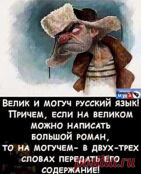 Выпуск №6436 - выпуск анекдотов сайта вокруг смеха