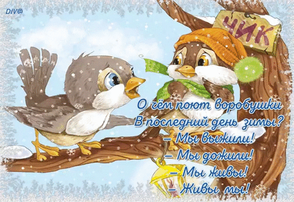 Мой Мир@Mail.Ru