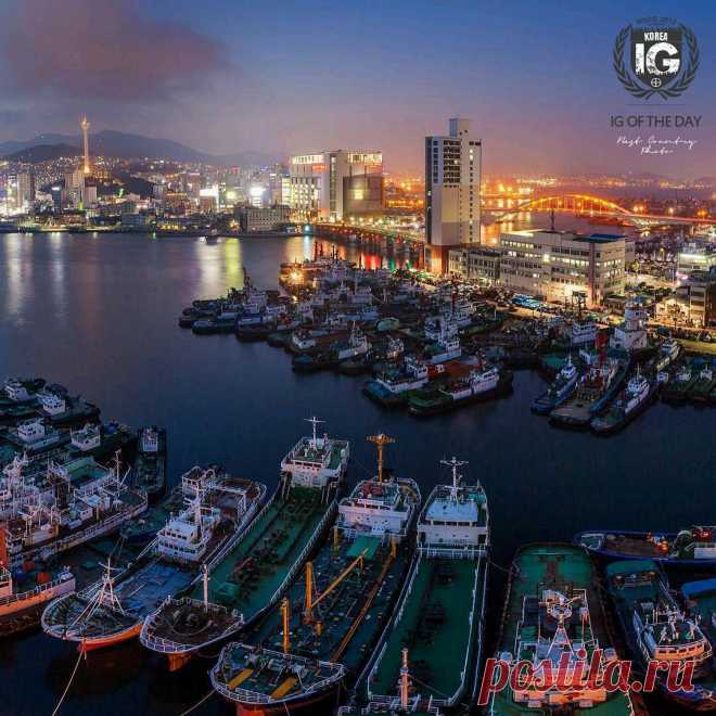 ! I G ⊕ KOREA® в Instagram: «present I G O F T H E D A Y P H O T O | @boomdim L O C A T I O N | Busan, South Korea F R O M | @ig.korea A D M I N | @es_kwon S E L E C T E D | @es_kwon F E A T U R E D T A G | #ig_korea #igd_080315 Add hashtag #ig_korea to your best shots of Korea for a chance to be featured. 한국에서 찍은 사진에 #ig_korea 해쉬태그를 붙여주세요. 매일 멋진 사진을 선정하여 게시합니다. M A I L | igworldclub@gmail.com S O C I A L | Facebook • Twitter M E M B E R S | @igworldclub_officialaccount C O U N T R Y R E Q U I