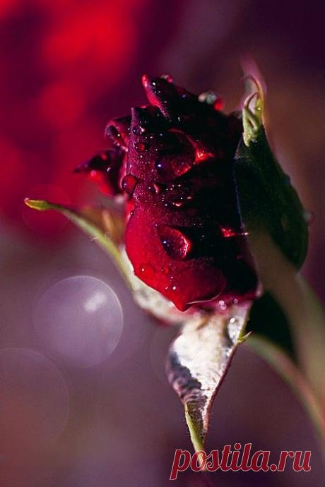 Pinterest: инструмент для поиска и хранения интересных идей