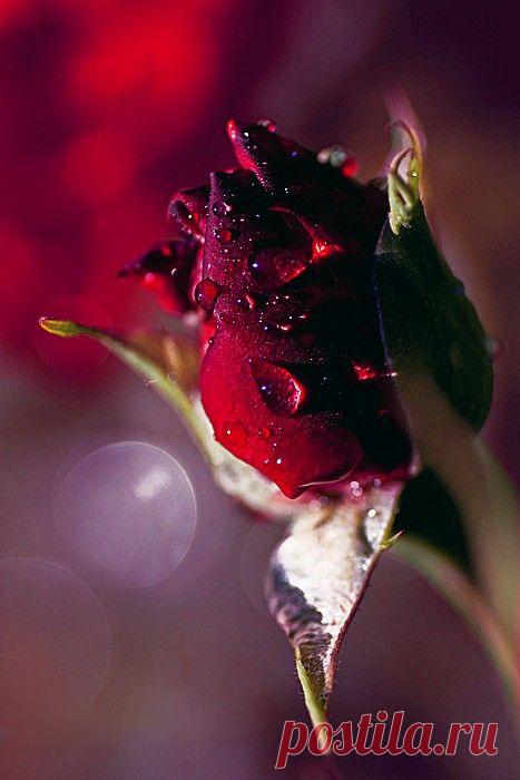 Pinterest: инструмент для поиска и хранения интересных идей