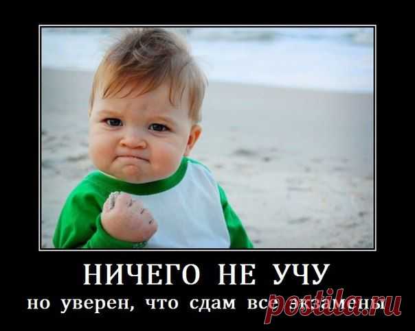 Что за школа...без прикола?!