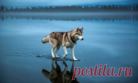 Мой Мир@Mail.Ru