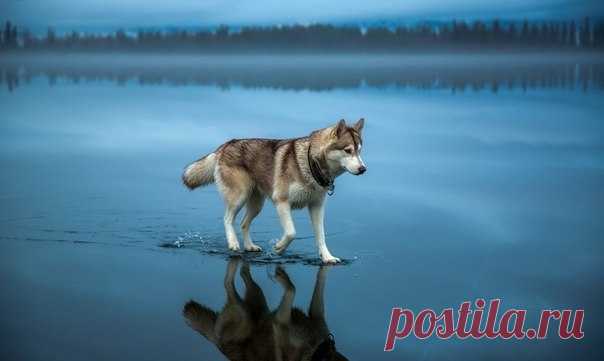 Мой Мир@Mail.Ru