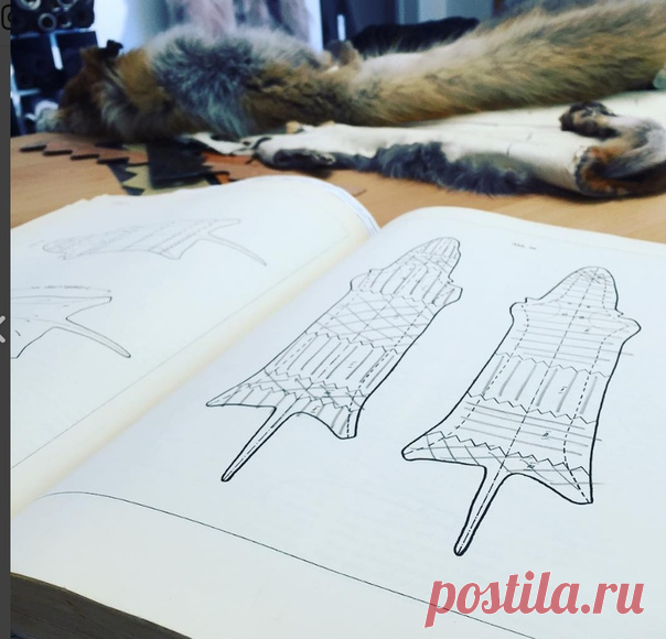 В Германии большинство Скорняков изучили старые техники из этой книги 