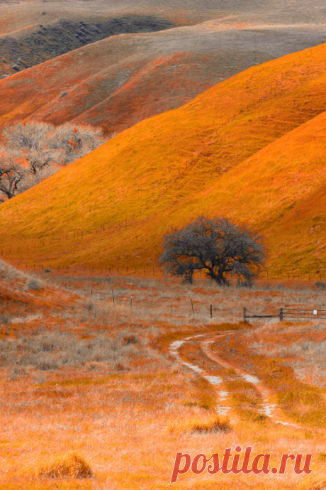 imprecise:
“ Road less travelled (by Chris Odchigue | Photography)
”