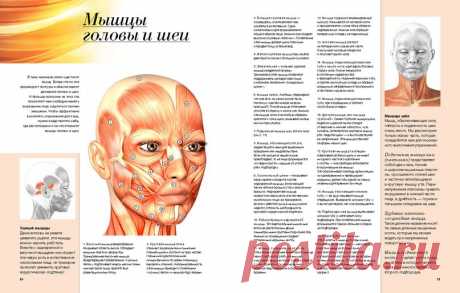 Фейскультура: мастерская красоты в Петербурге