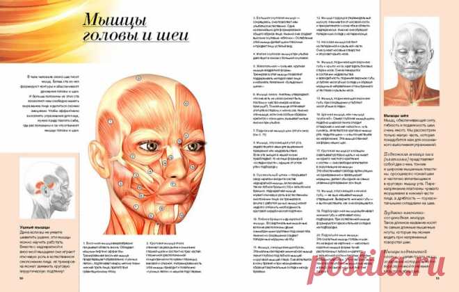 Фейскультура: мастерская красоты в Петербурге