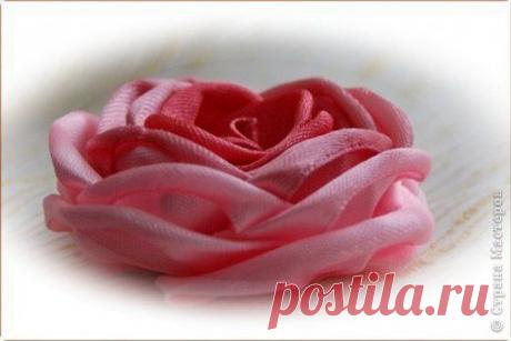 Марина Соловьёва