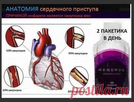 Что вы слышали о ресвератроле? https://zhanna.znaet.tv
