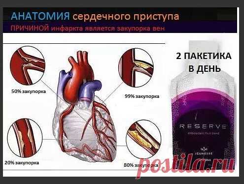 Что вы слышали о ресвератроле? http://zhanna.znaet.tv