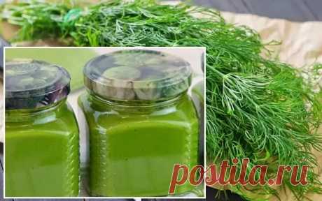 Укропная паста / Ароматные заготовки на зиму