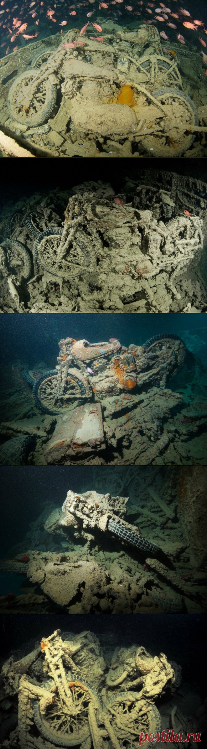 Уникальное кладбище техники, на дне Красного моря.
