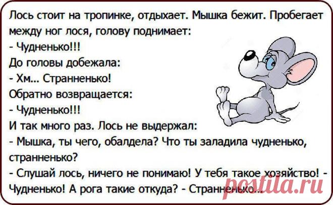 Интересные новости