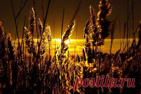 Рассветы, закаты...