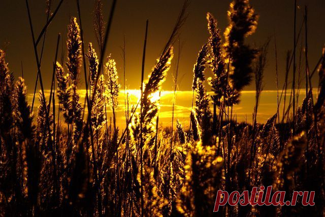 Рассветы, закаты...