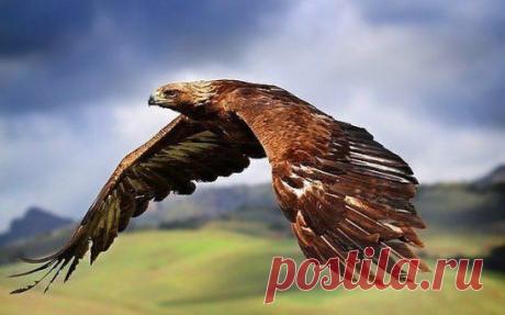 (69) Одноклассники