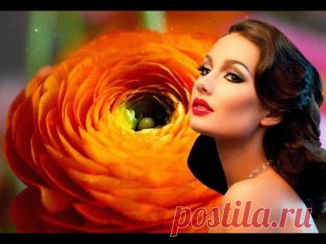 Незнакомка (Андрей Бандера)