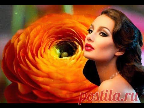 Незнакомка (Андрей Бандера)