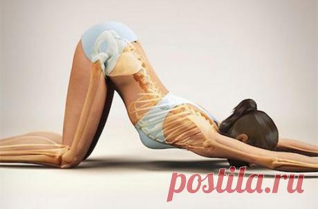 Статическая растяжка: эти упражнения исправляют асимметрию тела