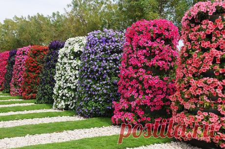 декоративно оформленные кустарники и дорожки