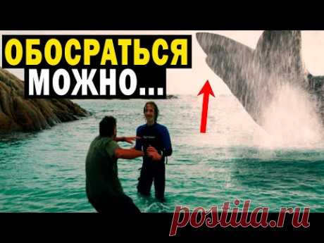 УЧЕНЫЕ ОБНОРУЖИЛИ ЭТО В ОКЕАНЕ!!!