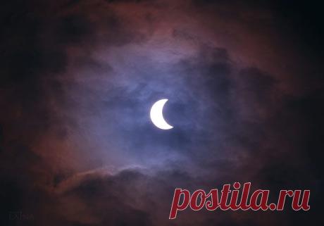 GISMETEO.RU: Фотографии солнечного затмения 20 марта 2015 г | События | Новости погоды.