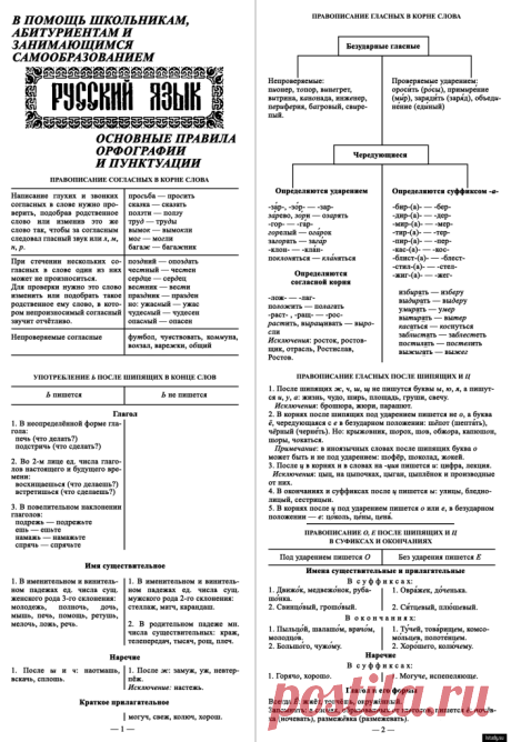 Основные правила орфографии и пунктуации для школьников и студентов | iStudy.su