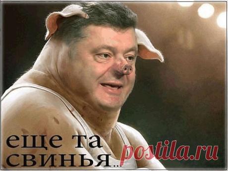 Каратель из нашего города-теперь герой..