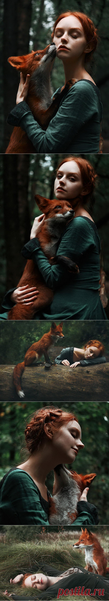 Очень красиво! Две лисицы: серия портретов ​Александры Бочкаревой (Alexandra Bochkareva) | Фотоискусство