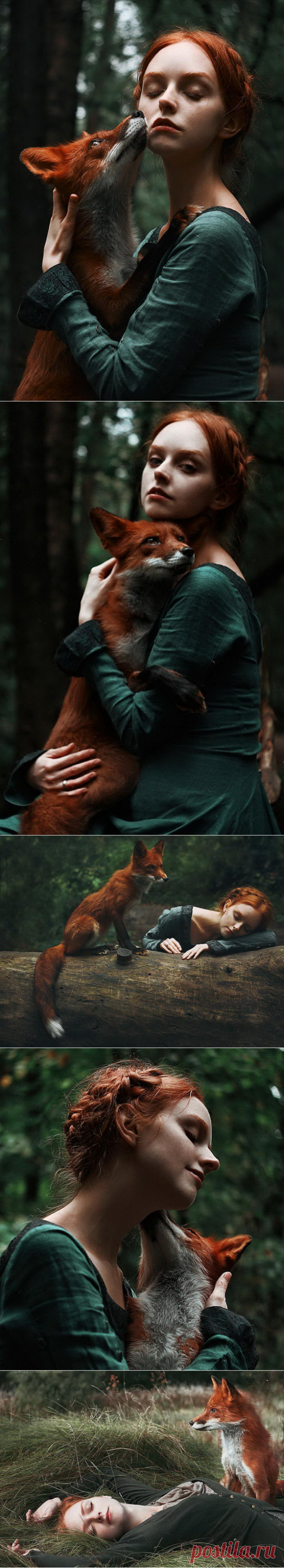 Очень красиво! Две лисицы: серия портретов ​Александры Бочкаревой (Alexandra Bochkareva) | Фотоискусство