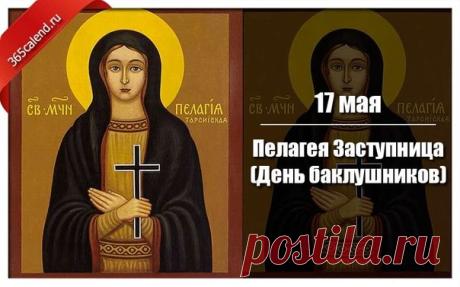 Поздравляю с Пелагеей Заступницей! В этот светлый майский день хочется пожелать, чтобы святая мученица оберегала ваш дом от всякого зла, обид и несправедливости, как бережет она юных птенцов. Открытки на Пелагея Заступница (День баклушников)!