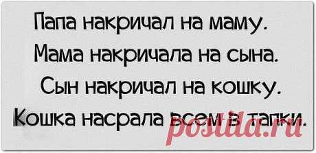 ...⇩⇩⇩...