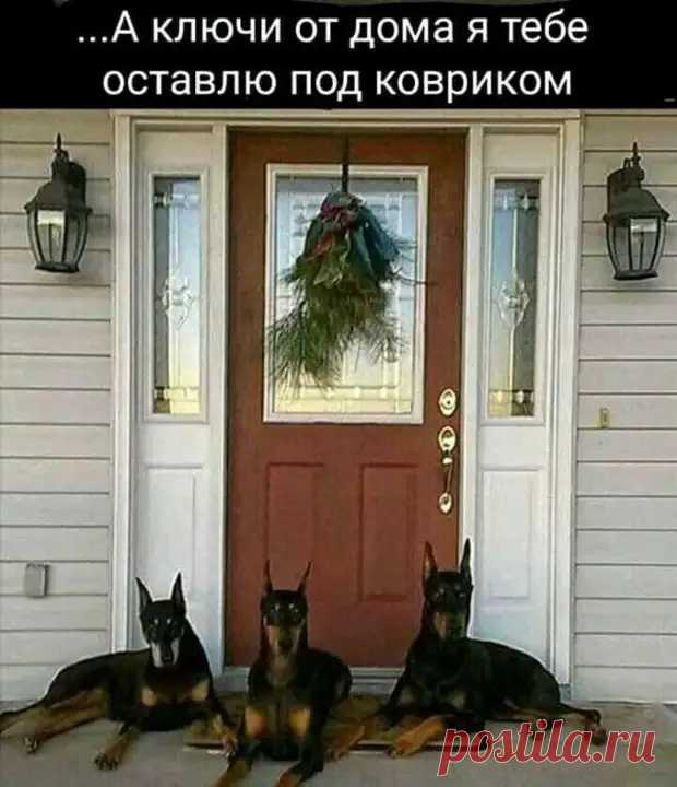 Подборка доброго фото 