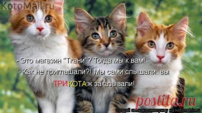 ТриКотаЖ