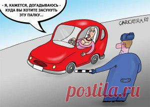Макака с палочкой