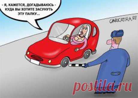 Макака с палочкой