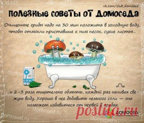 Полезные советы в картинках | Подружки