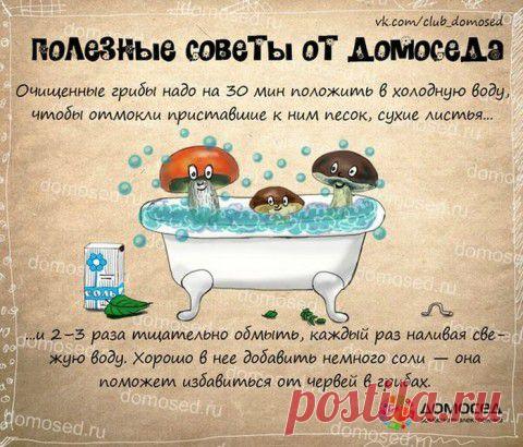 Полезные советы в картинках | Подружки