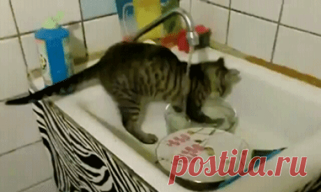 СЕМЕЙНАЯ ЖИЗНЬ....