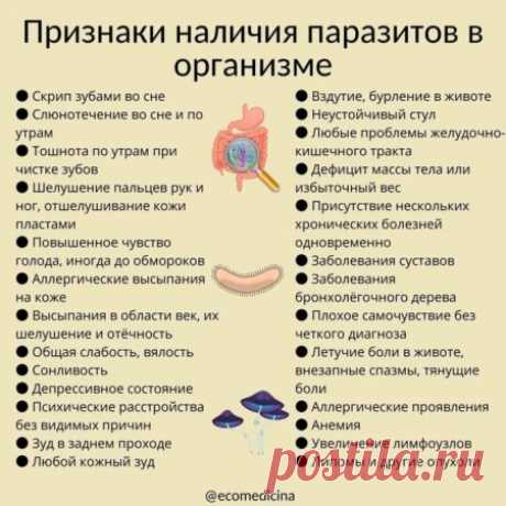 САМОДИАГНОСТИКА ОРГАНИЗМА
 признаки, указывающие на наличие паразитов в организме