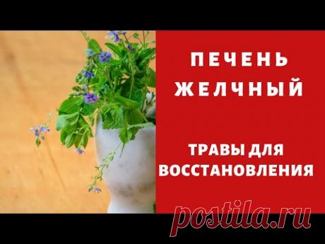 Лучшие травы для печени жёлчного пузыря ! Начинай менять характер !