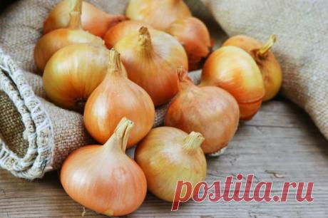 7 продуктов, которые нельзя выбрасывать