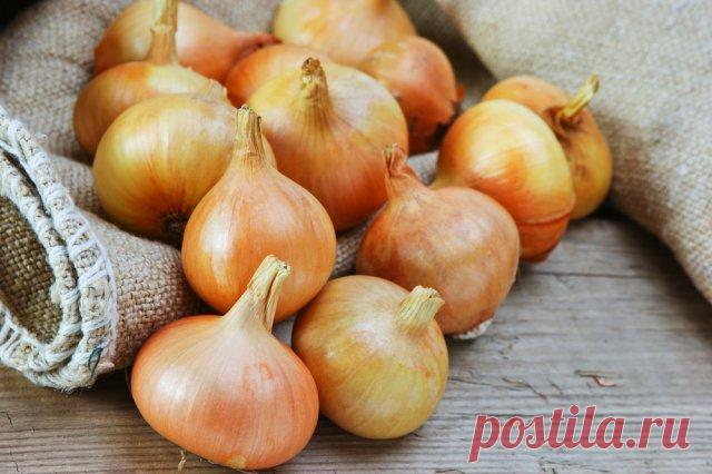 7 продуктов, которые нельзя выбрасывать