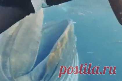 Кит чуть не проглотил ныряльщицу и попал на видео