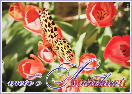 Открытка красивой женщине красивые цветы