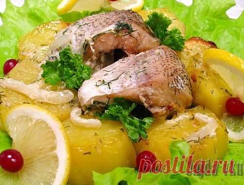 Щука отварная