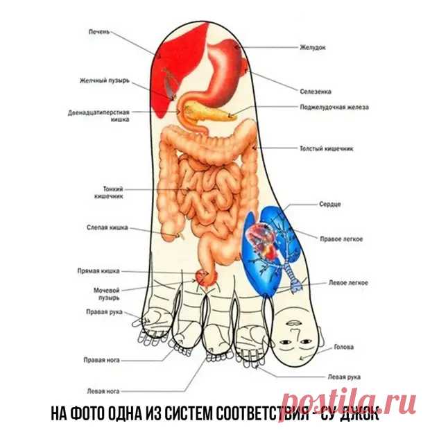 Массаж ступней от большинства проблем со здоровьем! Простая техника - ПолонСил.ру - социальная сеть здоровья - Медиаплатформа МирТесен